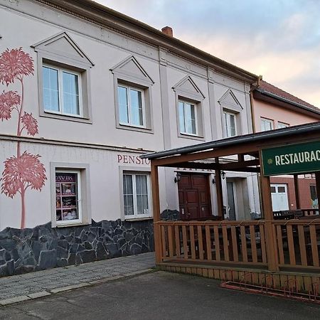 Zidlochovice Pension Pavir מראה חיצוני תמונה